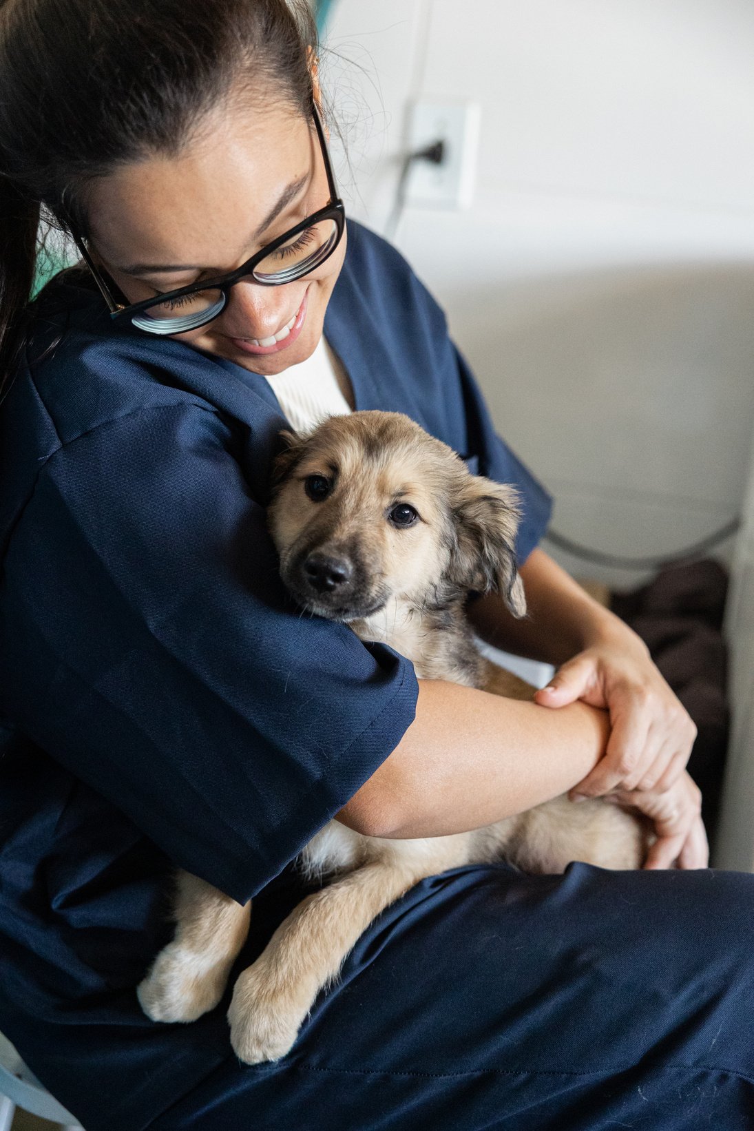 Animal Shelter Volunteer Taking Care of a Dog 